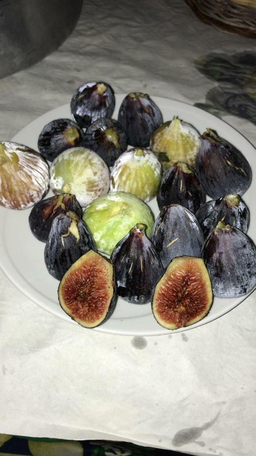 B&B Domus De Janas Gonnesa Dış mekan fotoğraf